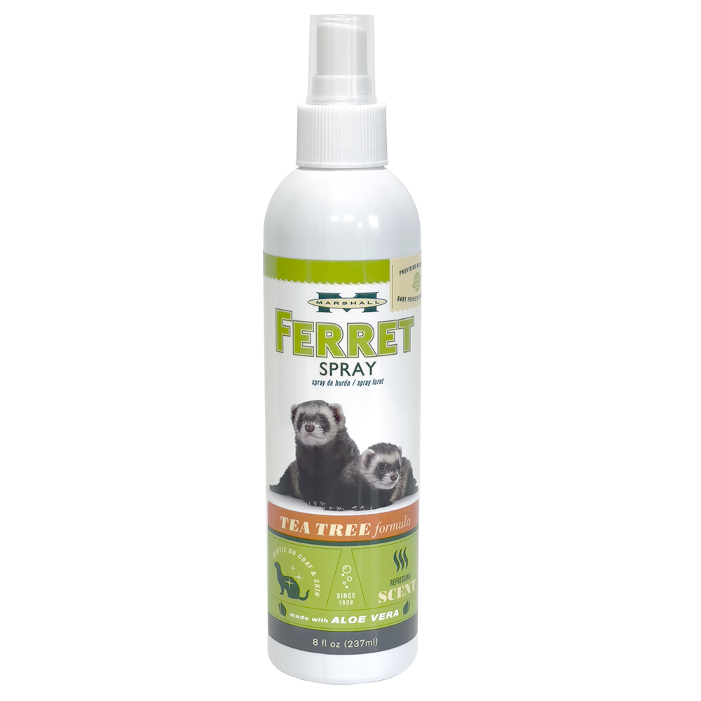 Tea tree spray for 2024 dogs